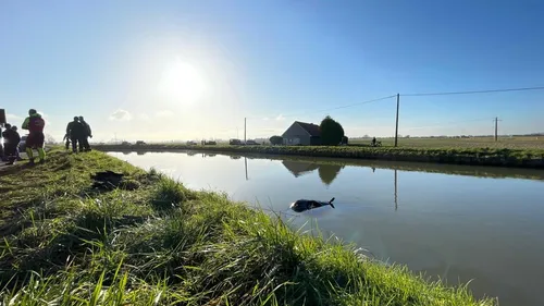 Bourbourg : l'une des victimes de l'accident dans le canal de l'Aa...